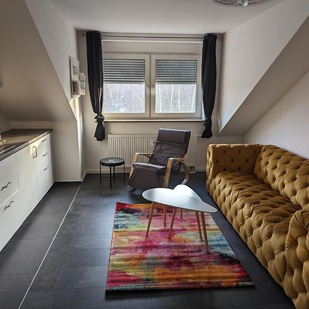 Ferienwohnung Am Stadtpark Chemnitz Esterno foto