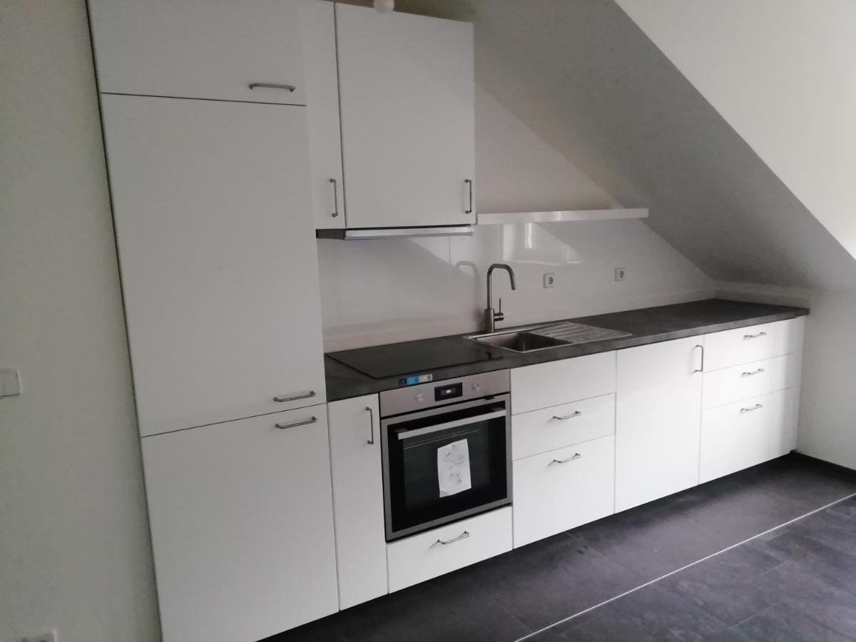 Ferienwohnung Am Stadtpark Chemnitz Esterno foto